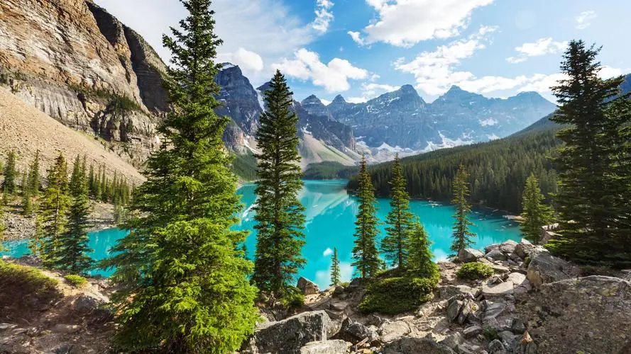 精密工业高效